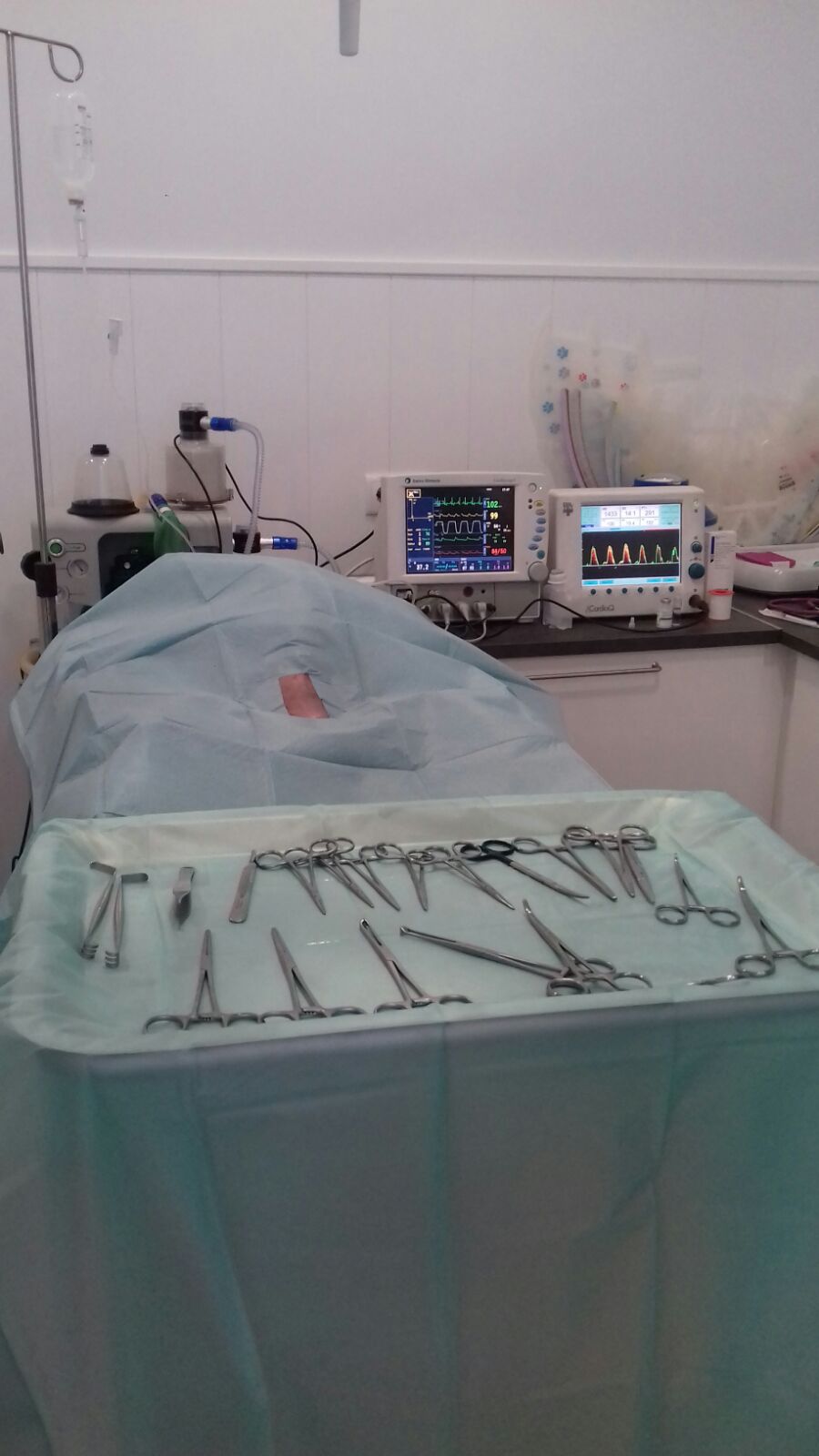 Cirugía veterinaria