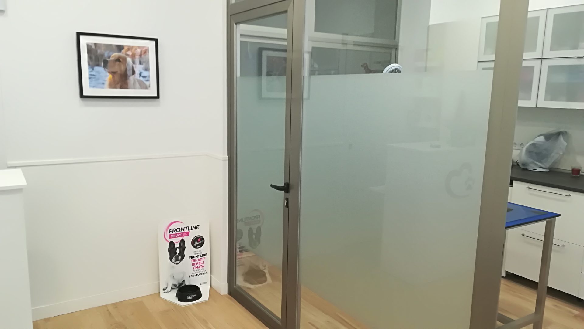 Política de privacidad
