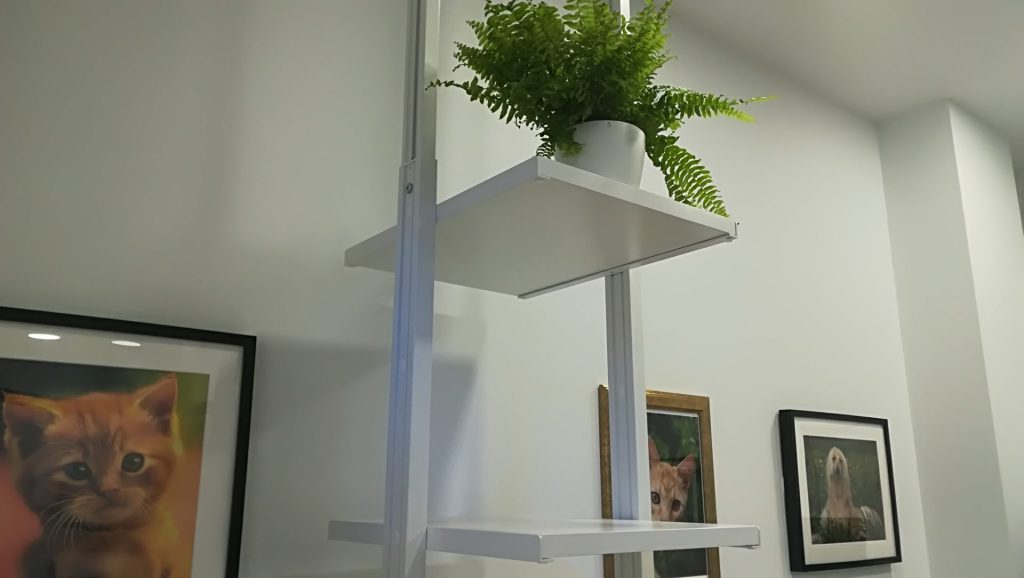 Galería de nuestra clínica