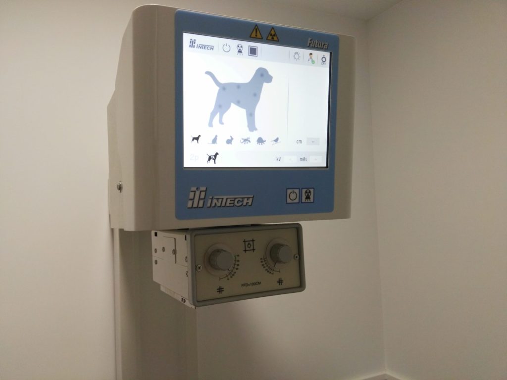 Servicio medicina interna