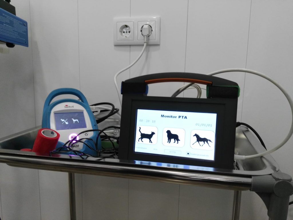 Servicios Veterinarios en Tetuán