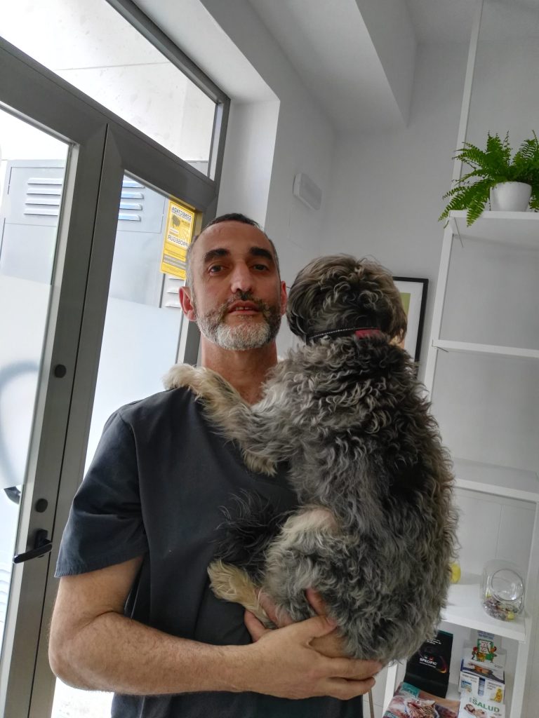 Plan protección felino