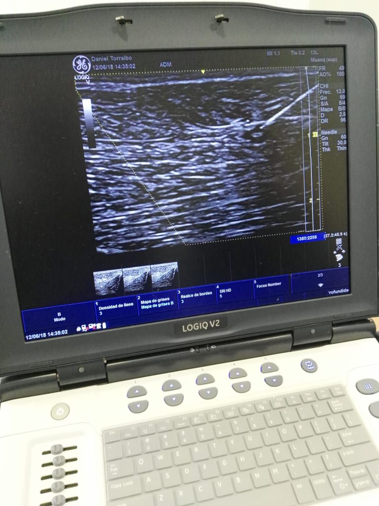 Consulta veterinaria