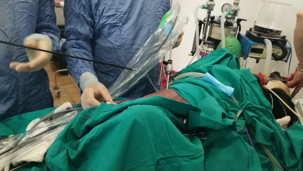 Ven a conocernos hoy mismo