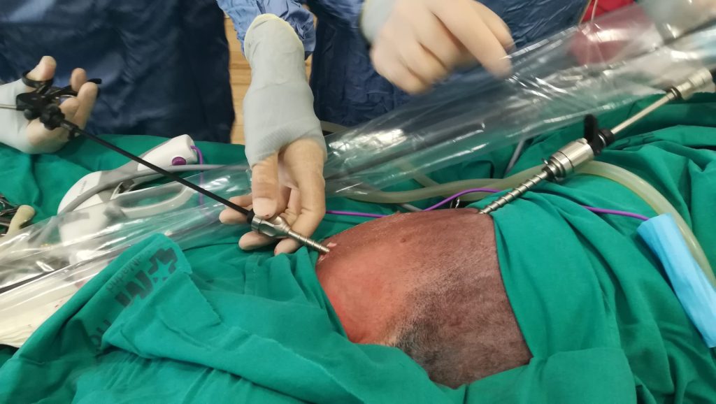 Examen médico perro